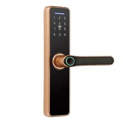 Rosh Ttlock Tuya App Inteligentny zamek elektroniczny Blokada hasła Wifi